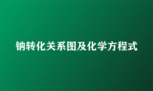 钠转化关系图及化学方程式