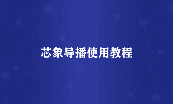 芯象导播使用教程