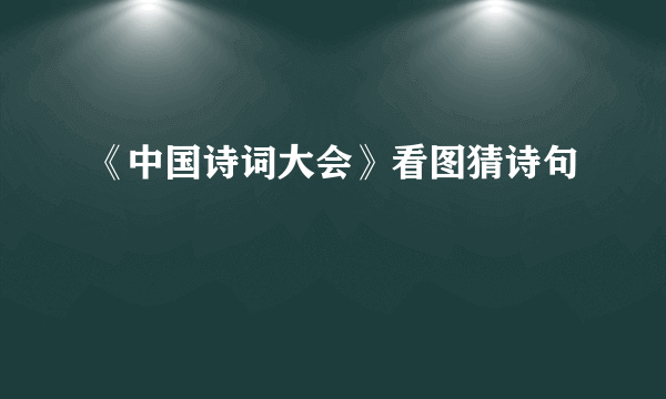 《中国诗词大会》看图猜诗句