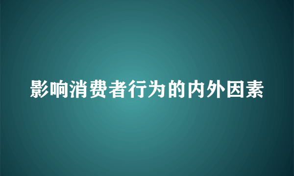 影响消费者行为的内外因素