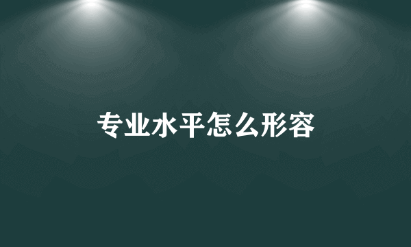 专业水平怎么形容