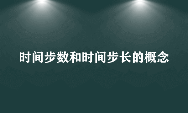 时间步数和时间步长的概念