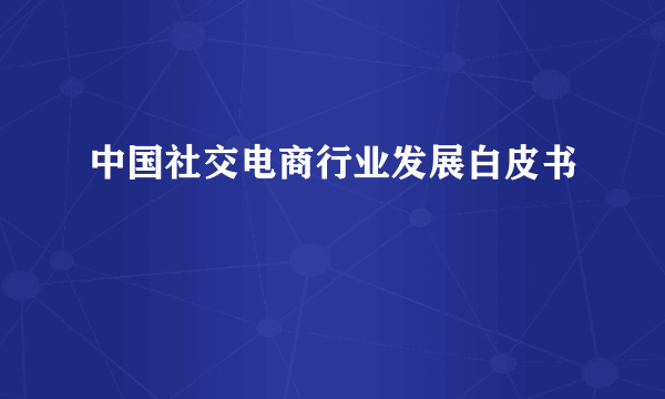 中国社交电商行业发展白皮书