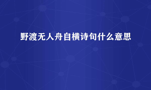野渡无人舟自横诗句什么意思