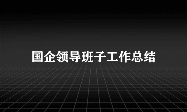 国企领导班子工作总结