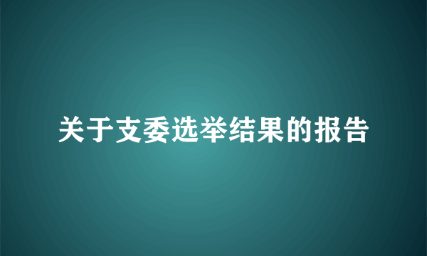 关于支委选举结果的报告