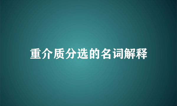 重介质分选的名词解释