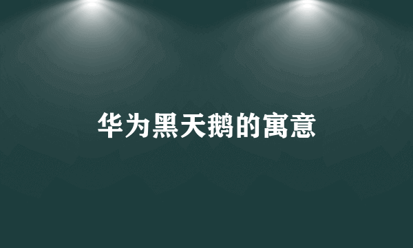 华为黑天鹅的寓意