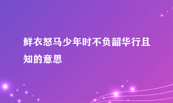 鲜衣怒马少年时不负韶华行且知的意思