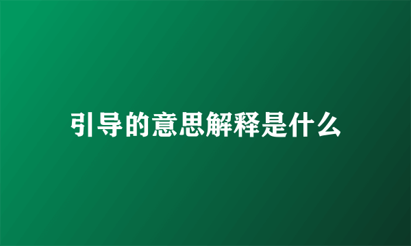引导的意思解释是什么