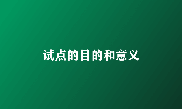 试点的目的和意义