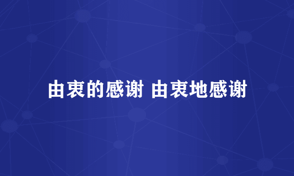 由衷的感谢 由衷地感谢
