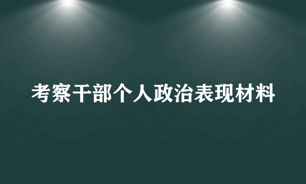 考察干部个人政治表现材料
