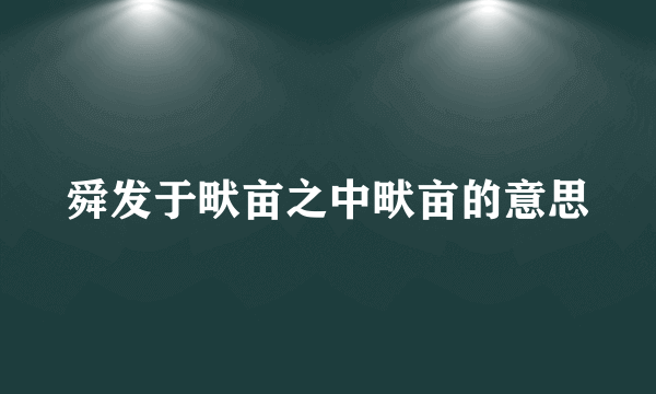 舜发于畎亩之中畎亩的意思