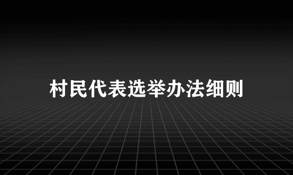 村民代表选举办法细则