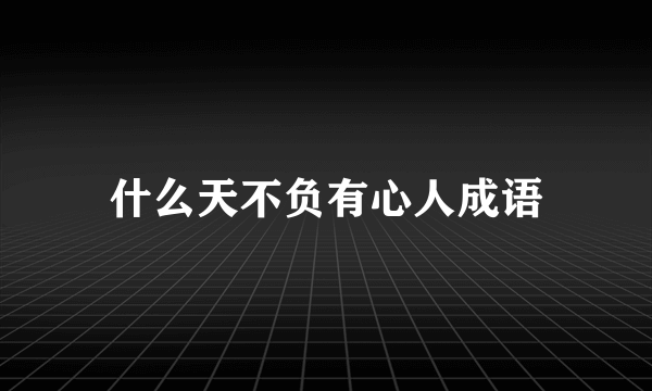 什么天不负有心人成语