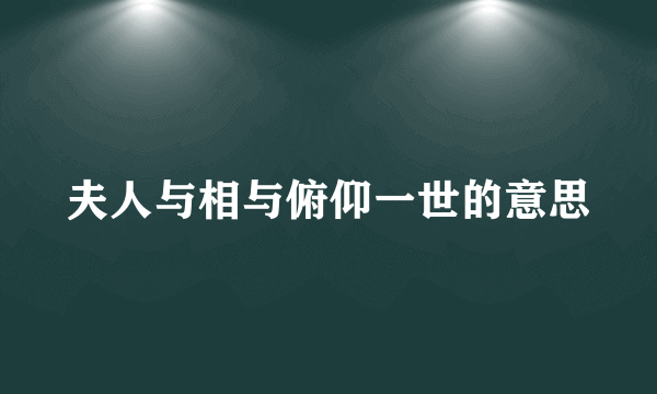 夫人与相与俯仰一世的意思