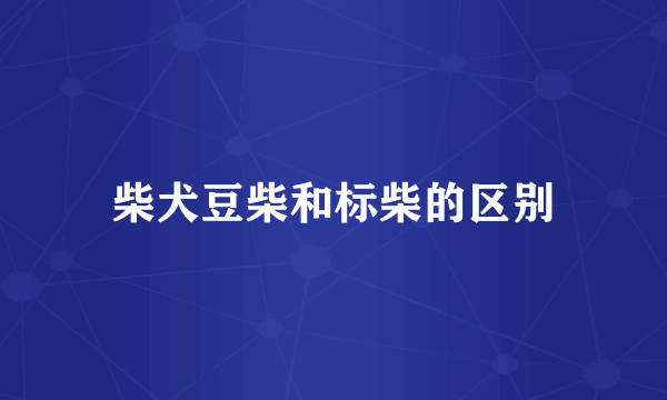 柴犬豆柴和标柴的区别