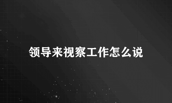 领导来视察工作怎么说