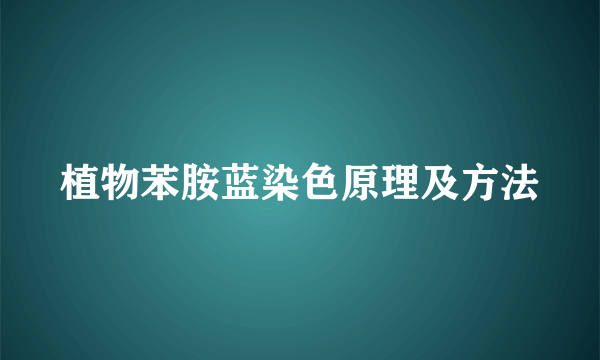 植物苯胺蓝染色原理及方法