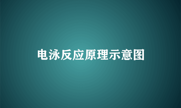 电泳反应原理示意图
