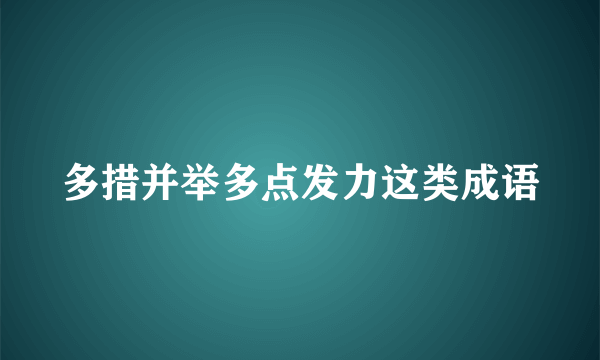 多措并举多点发力这类成语