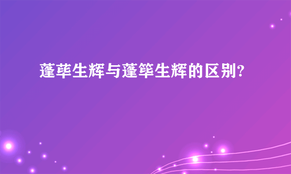 蓬荜生辉与蓬筚生辉的区别?