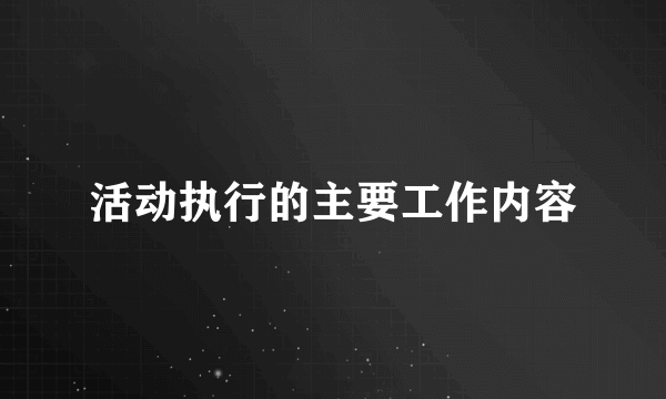 活动执行的主要工作内容