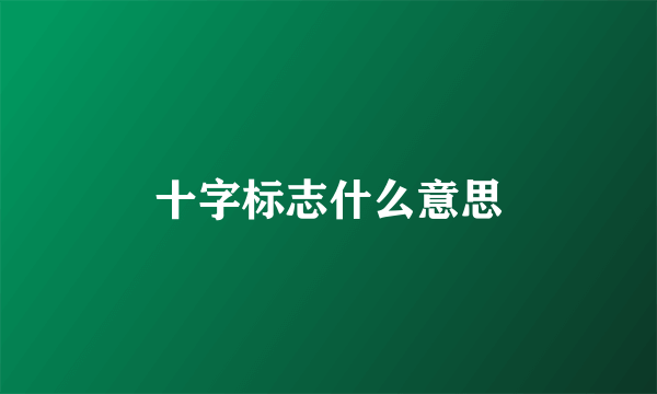 十字标志什么意思