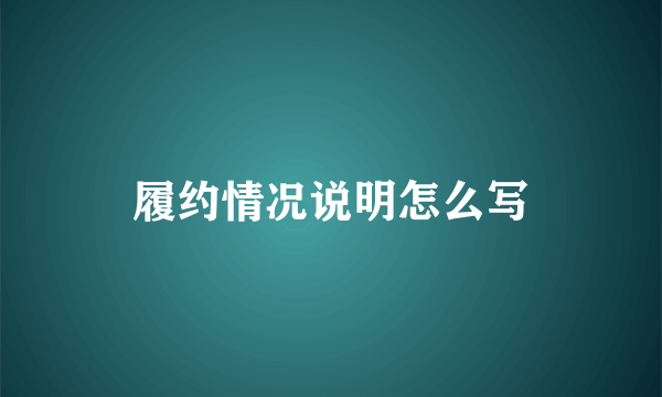 履约情况说明怎么写
