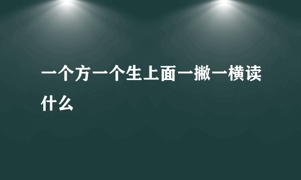 一个方一个生上面一撇一横读什么
