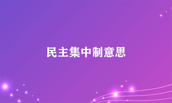 民主集中制意思