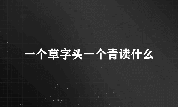 一个草字头一个青读什么