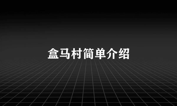 盒马村简单介绍