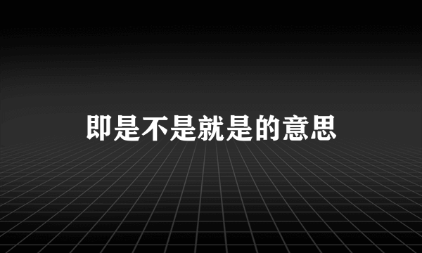 即是不是就是的意思
