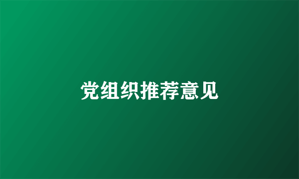 党组织推荐意见
