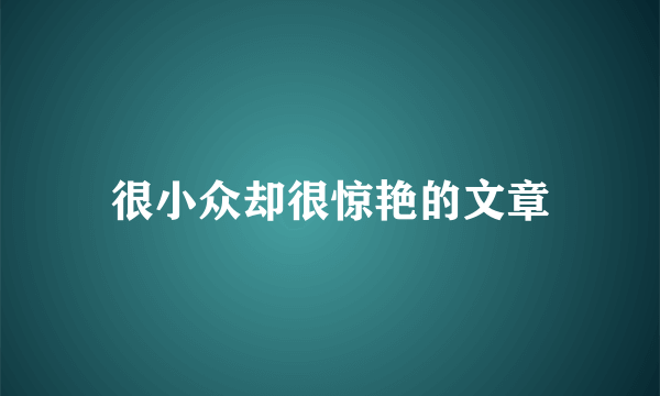 很小众却很惊艳的文章