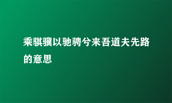 乘骐骥以驰骋兮来吾道夫先路的意思