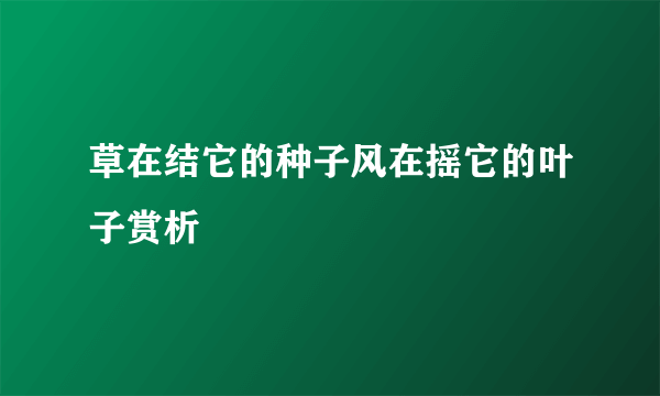 草在结它的种子风在摇它的叶子赏析