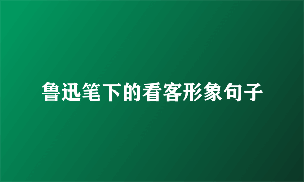 鲁迅笔下的看客形象句子