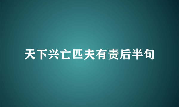 天下兴亡匹夫有责后半句