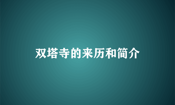 双塔寺的来历和简介
