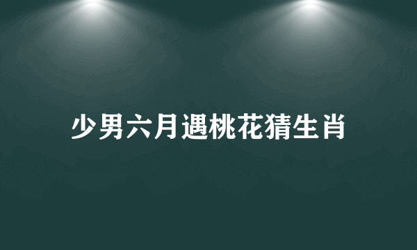 少男六月遇桃花猜生肖