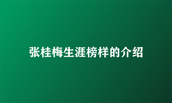 张桂梅生涯榜样的介绍
