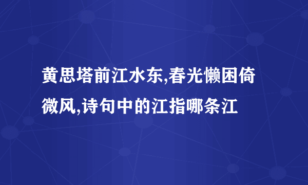 黄思塔前江水东,春光懒困倚微风,诗句中的江指哪条江