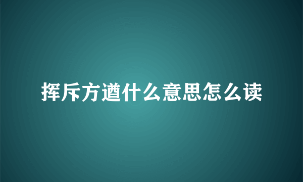 挥斥方遒什么意思怎么读