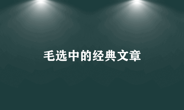 毛选中的经典文章