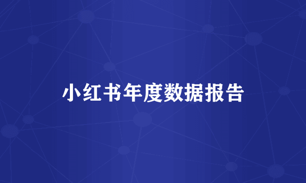 小红书年度数据报告