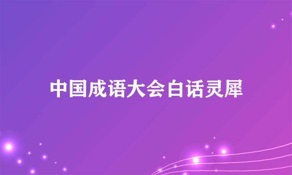 中国成语大会白话灵犀