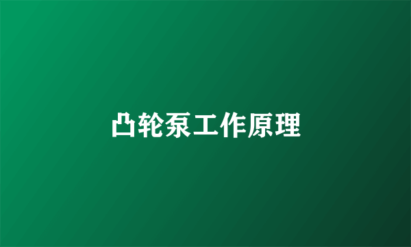 凸轮泵工作原理